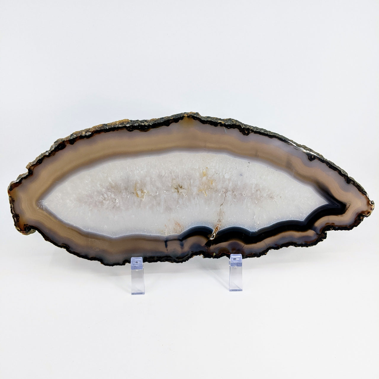 Natural Agate 12" Polished Slice w Stand #LV4681
