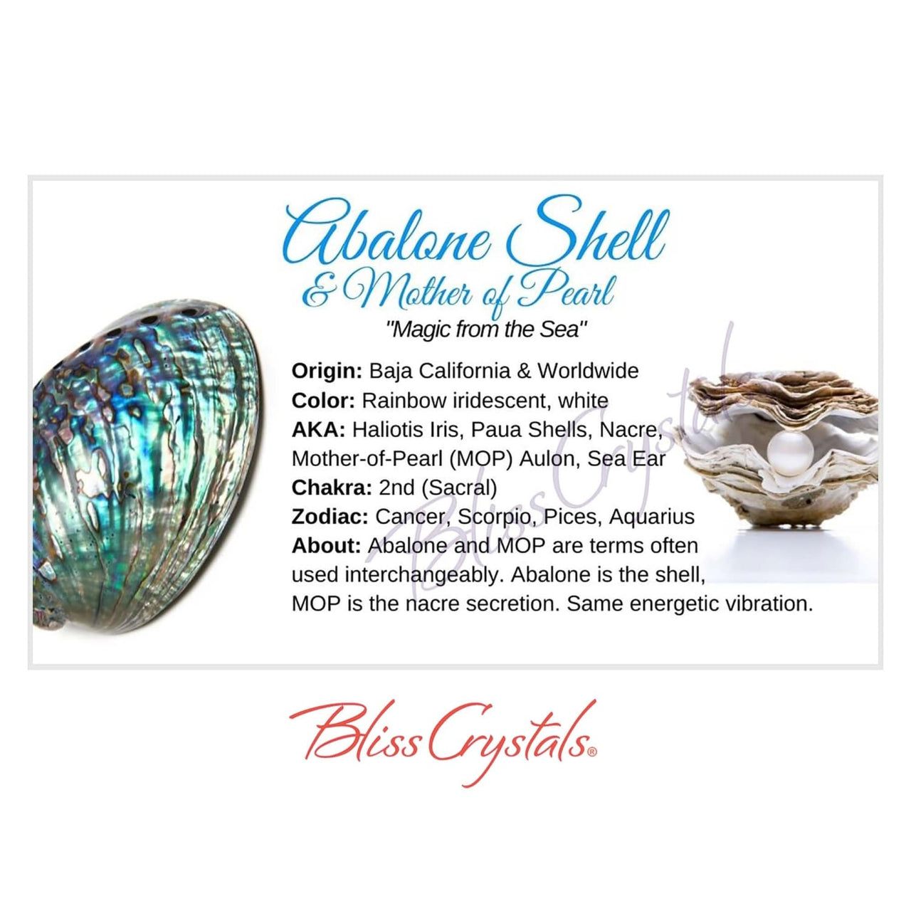 ABALONE Crystal Information Card Double sided #HC165 - $1.25
