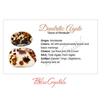Thumbnail for DENDRITIC AGATE Crystal Information Card Double sided #HC169