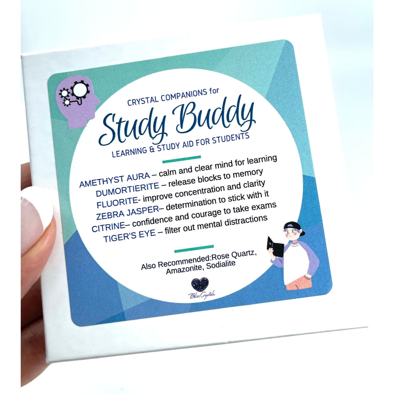 Study Buddy Crystal Companion Set for Students Learning & 