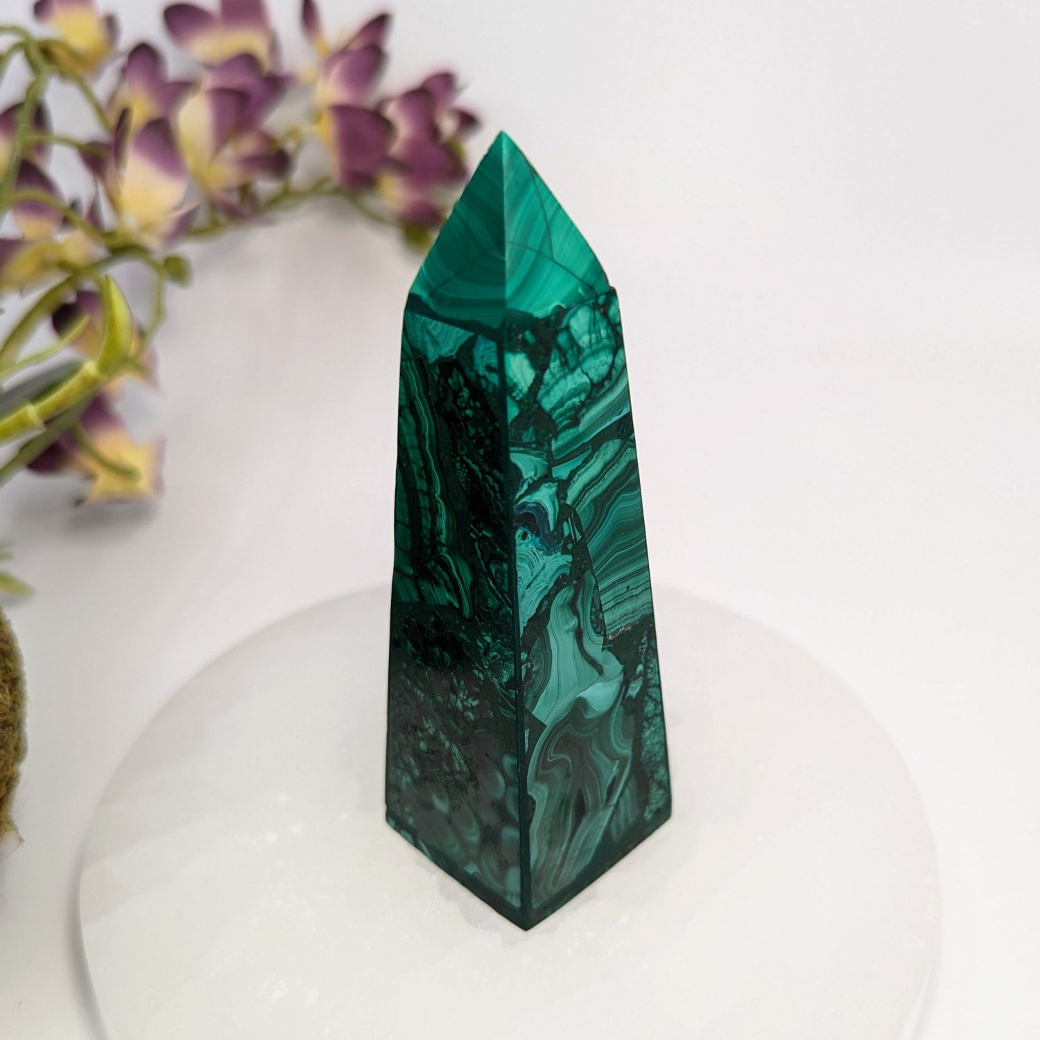 Crystals for Scorpio Zodiac Sign | Which Crystals Are The Best For Scorpios & Astrological Season?