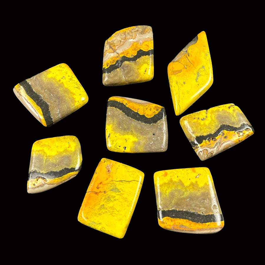 Eight polished Bumblebee Jasper stones in yellow and gray arranged in a circle