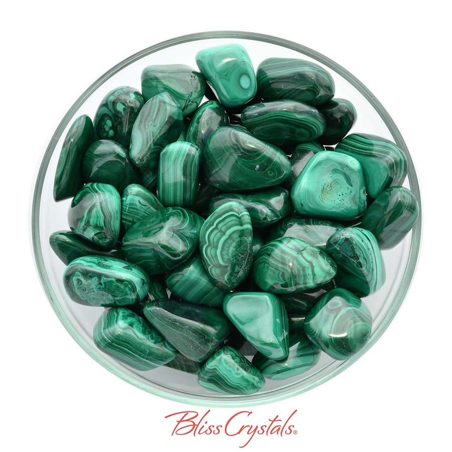 Polished Malachite tumbled stones showcasing vibrant green banding patterns