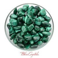 Thumbnail for MALACHITE Tumbled Stone Size Large for Protection Memory Health #ML03