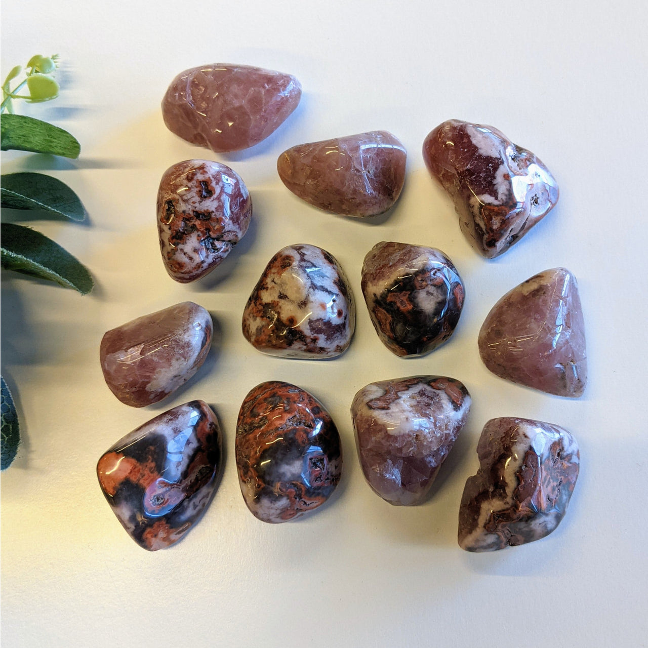 Purple and white stones with plant background - 1 Red Amethyst Semi Polished #LV1268