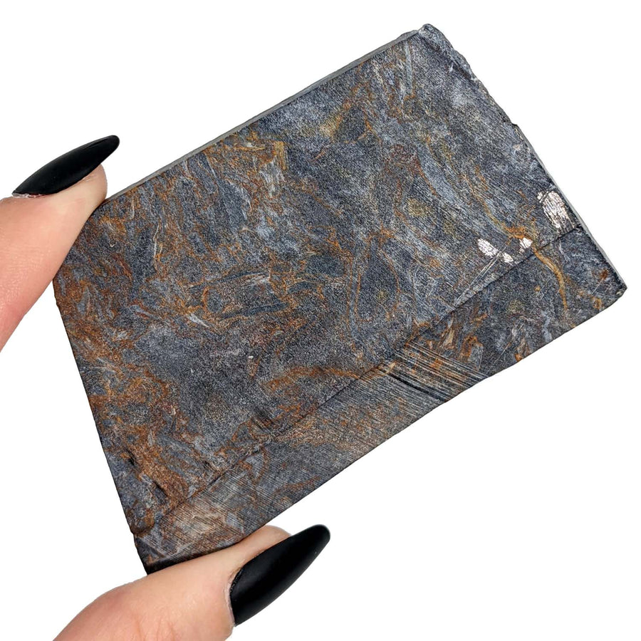 Hand holding a small Pietersite unpolished slab showcasing natural beauty