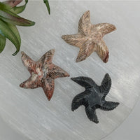 1 Soapstone Baby Animal Carving from Peru #C005D