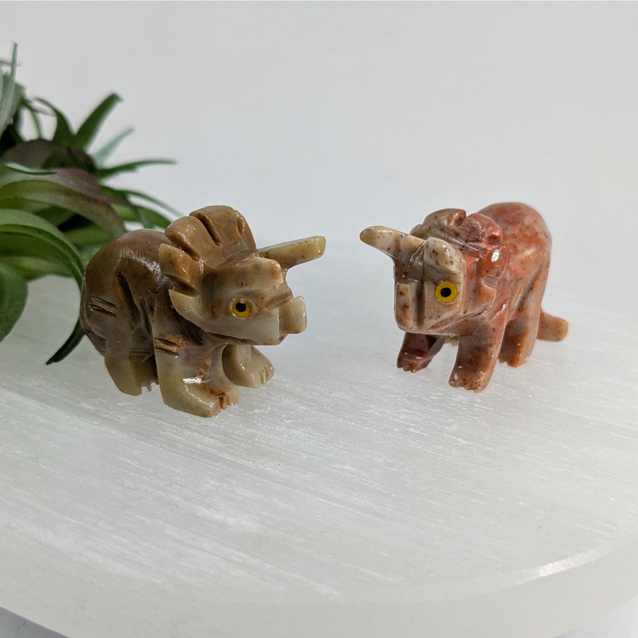 1 Soapstone Baby Animal Carving from Peru #C005D Dino #6