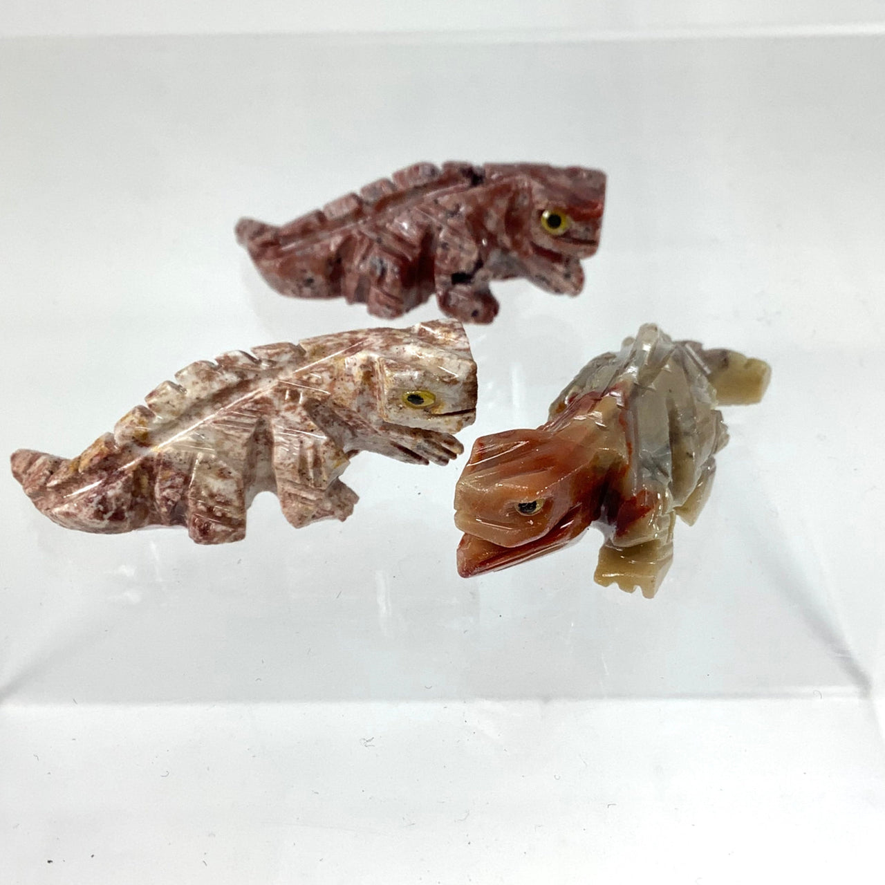 Soapstone baby animal carving from Peru featuring three fish specimens in a clear case