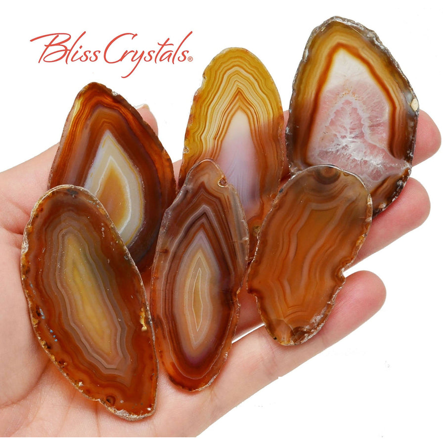 1 XL Fancy GOLD AGATE Slab Slice (2 - 2.5 inch) Polished 