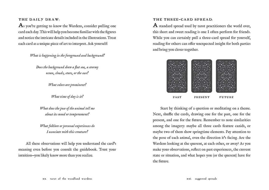 Tarot of the Woodland Wardens by Jessica Roux Tarot Deck #BC1801