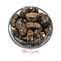 Thumbnail for Polished Rhyolite stones in a glass bowl, perfect for Turritella Agate Tumbled sets