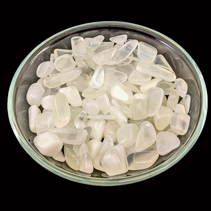 Clear Selenite Crystal Pieces in a Bowl with Lemon Calcite Medium Tumbled Stones