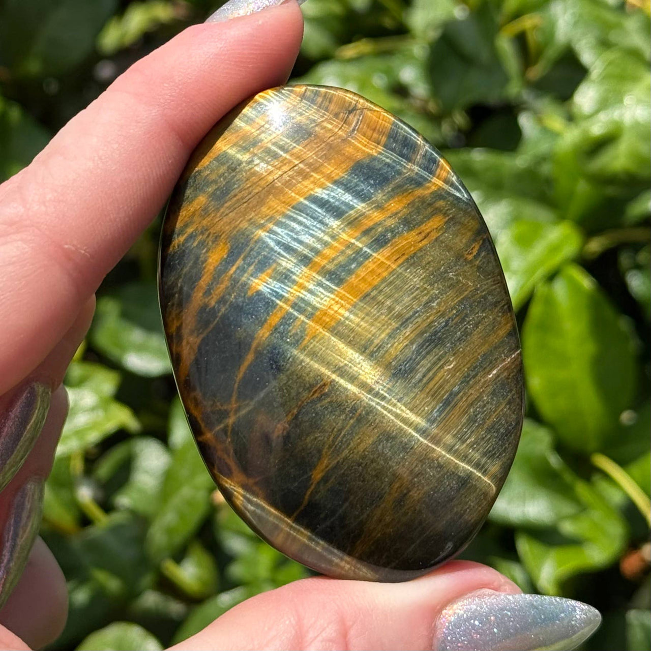 Blue and Gold Tiger Eye Palm Stone #BC0567
