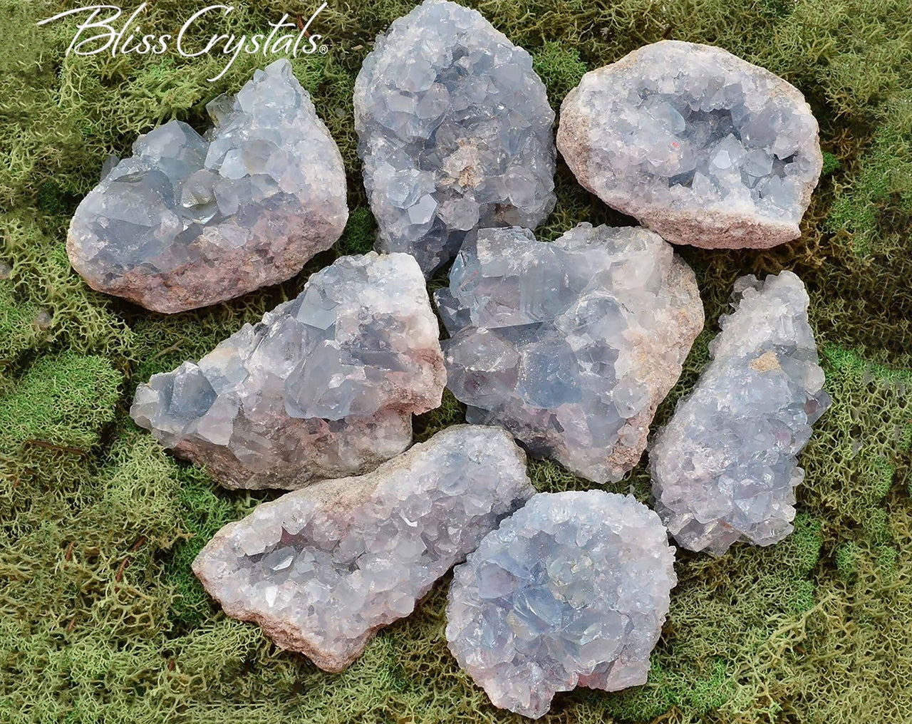 CELESTITE Large Geode Rough Mineral Specimen Natural Raw Crystal #CG23