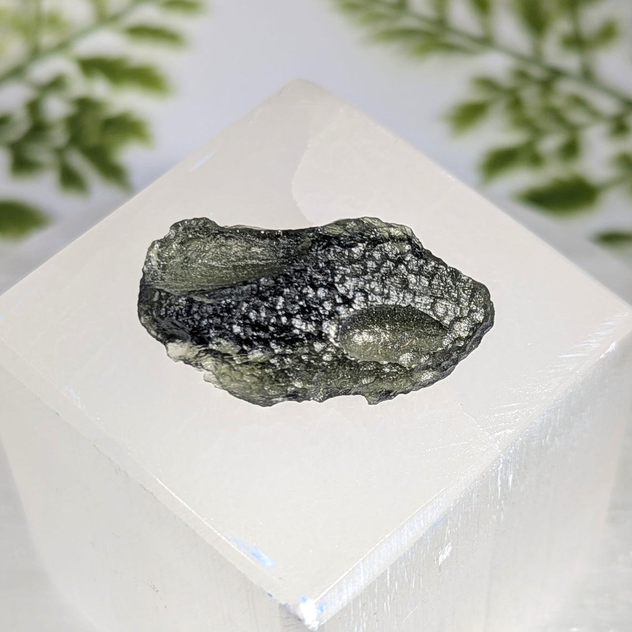 Moldavite 1.3" Raw Specimen #BC1600