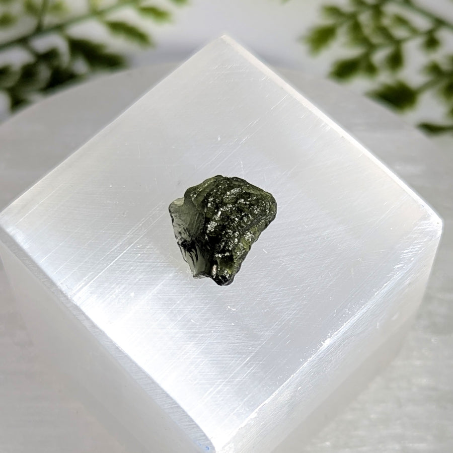 Moldavite .6" Raw Specimen #BC1603