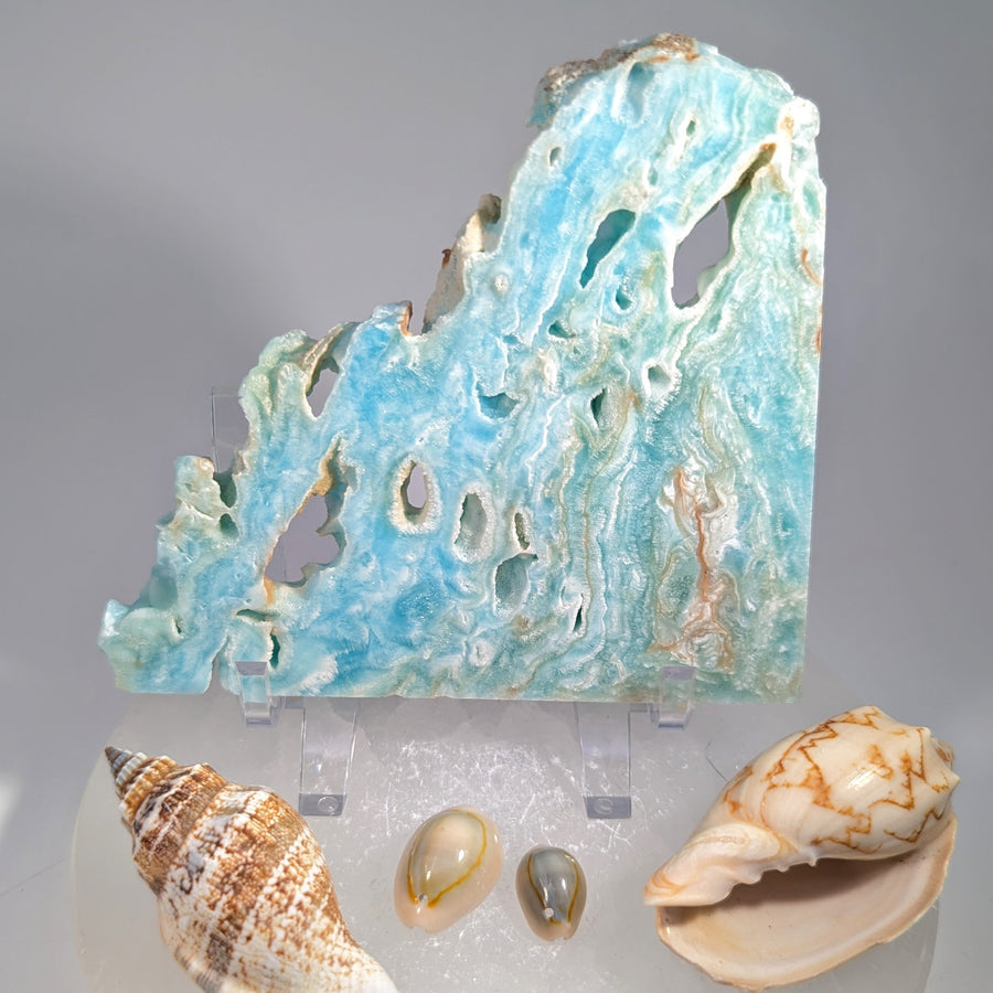 Hemimorphite 4.4" Slab Slice #BC1613