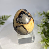Septarian 2.3