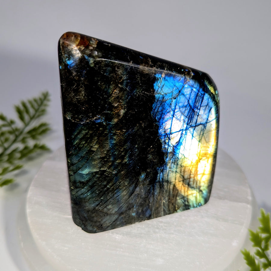 Labradorite 3.4" Freeform #BC1625