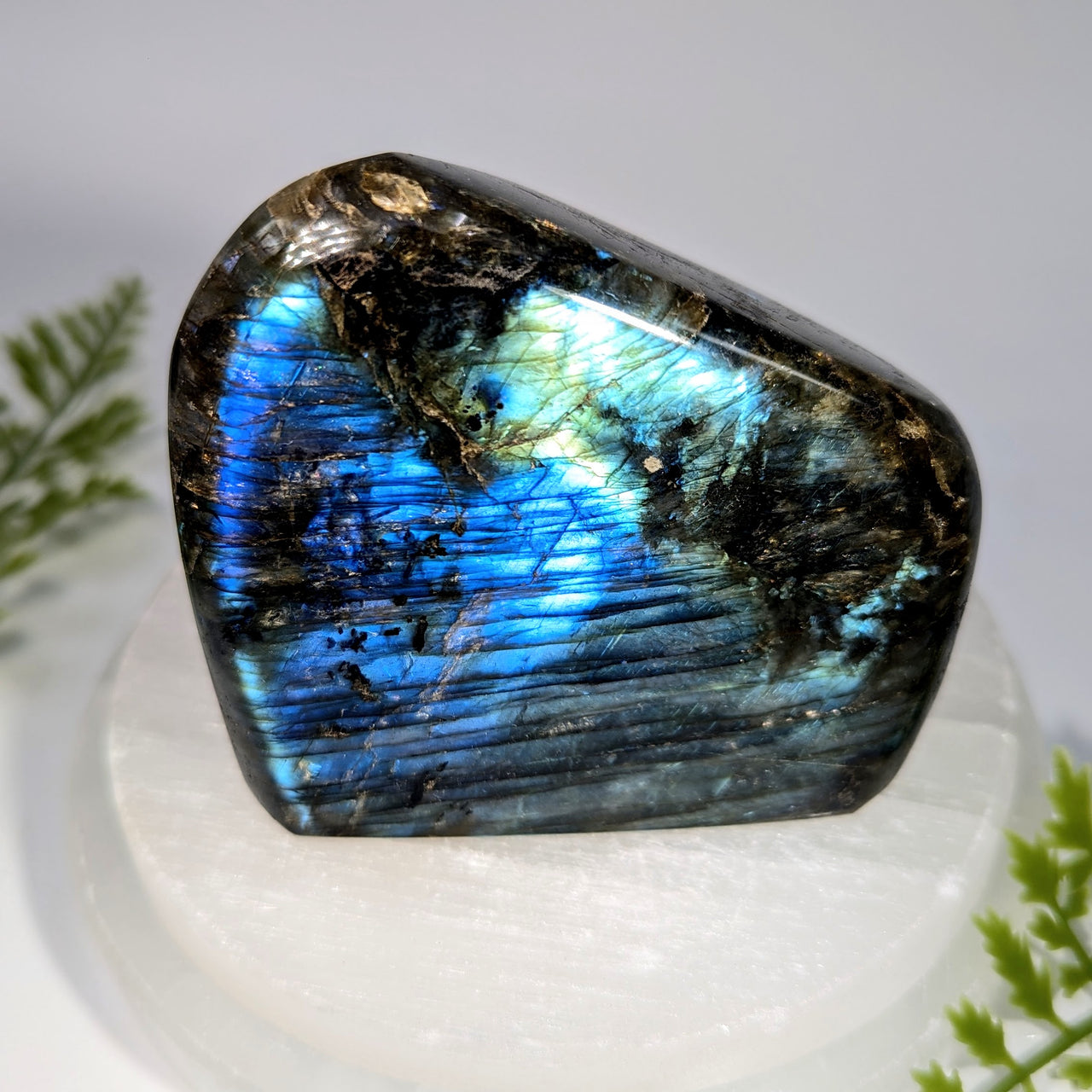 Labradorite 3.3" Freeform #BC1626