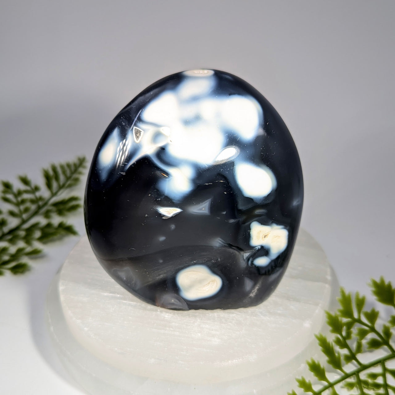 Orca Agate 3.5" Freeform #BC1627