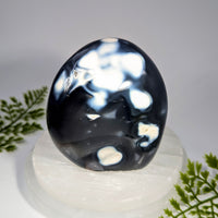 Orca Agate 3.5