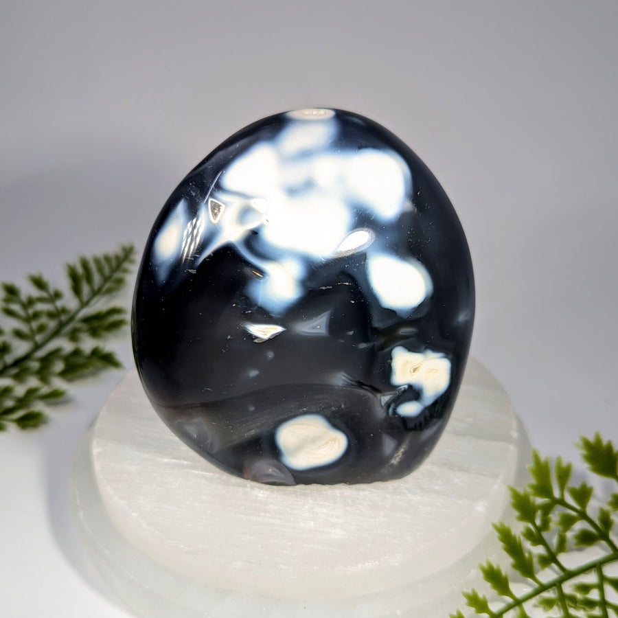 Orca Agate 3.5" Freeform #BC1627