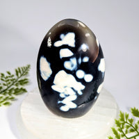 Orca Agate 4.1