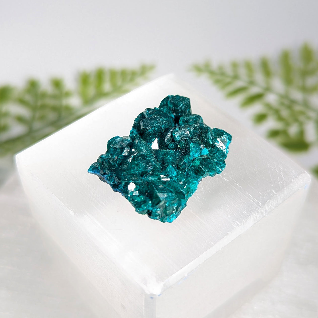 Dioptase 1.2" Raw Specimen #BC1630