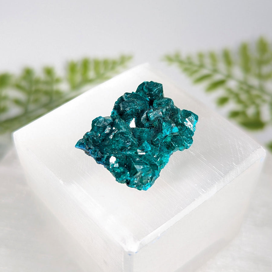 Dioptase 1.2" Raw Specimen #BC1630