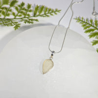 Libyan Desert Glass .8