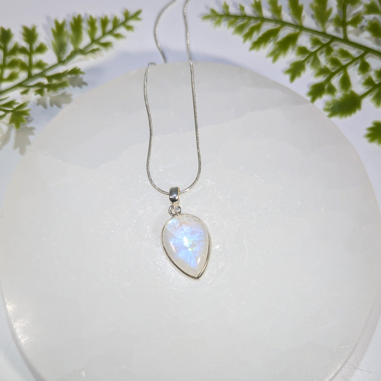 Rainbow Moonstone .9" Teardrop S.S. Pendant #BC1649
