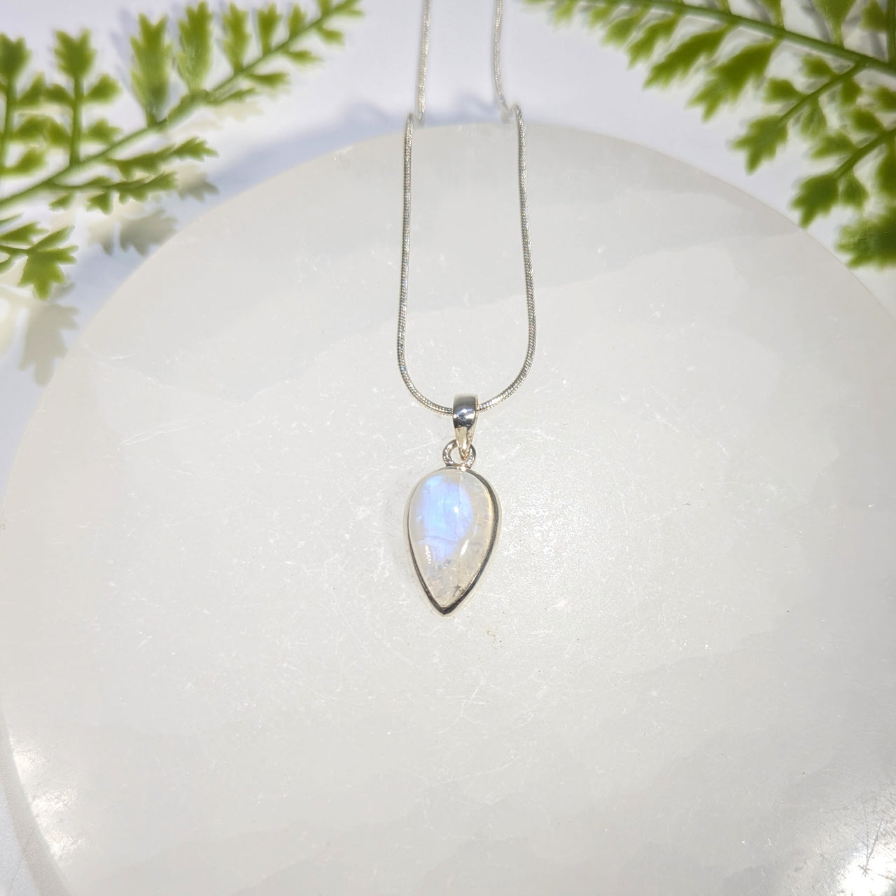 Rainbow Moonstone .8" Teardrop S.S. Pendant #BC1650