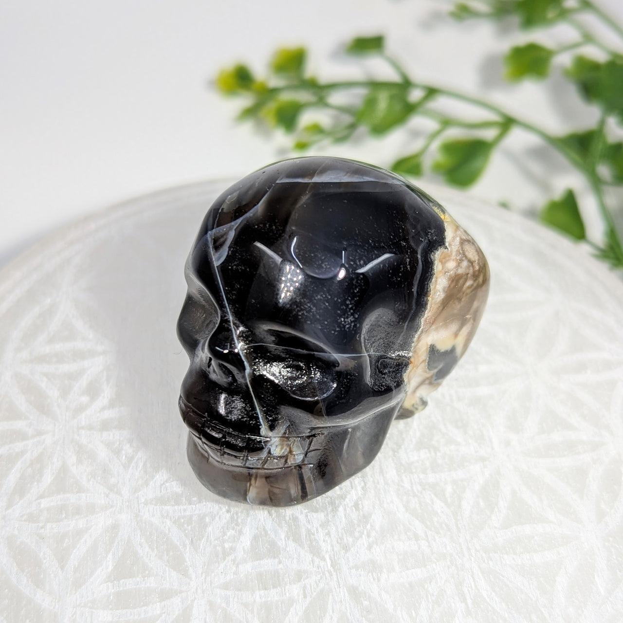 Volcanic Agate 2" Skull Carving #BC1700