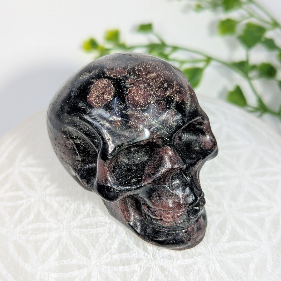 Garnet Arfvedsonite 2.5" Skull Carving #BC1701