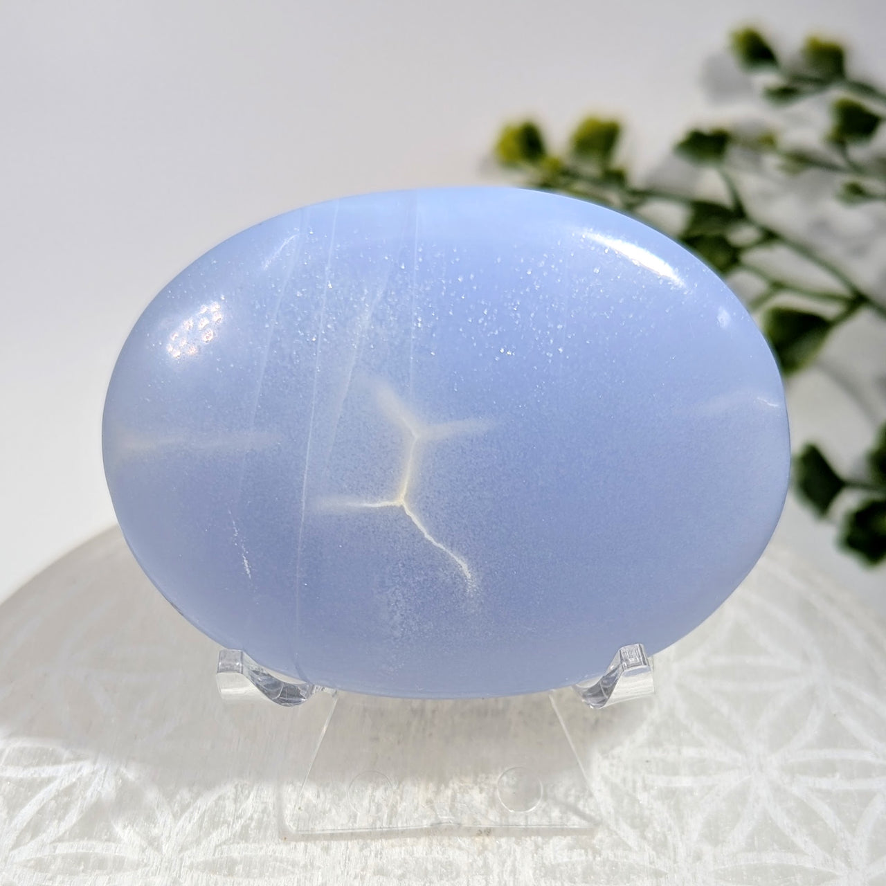Blue Chalcedony 2.75" Palm #BC1704