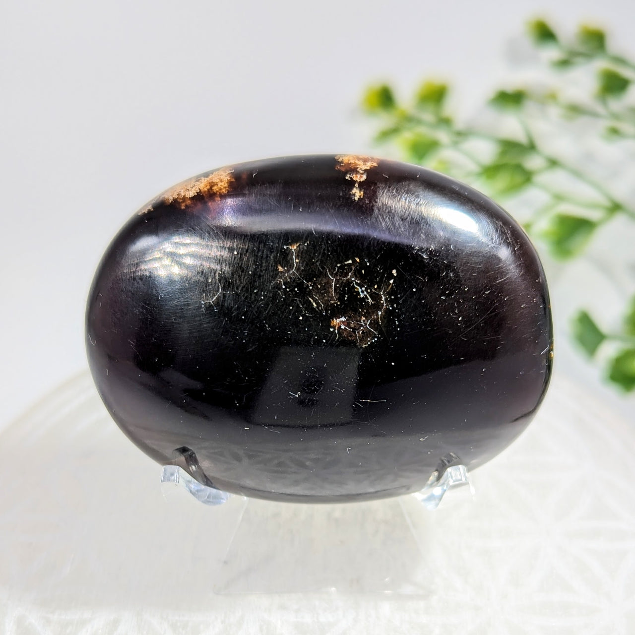Blue Amber 2.5" Palm #BC1706