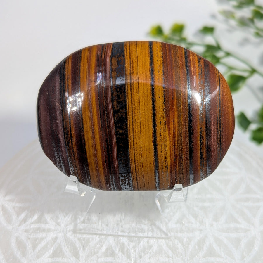 Tiger Iron 2.5" Palm #BC1707