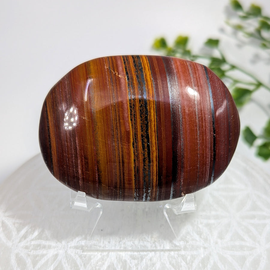 Tiger Iron 2.5" Palm #BC1708