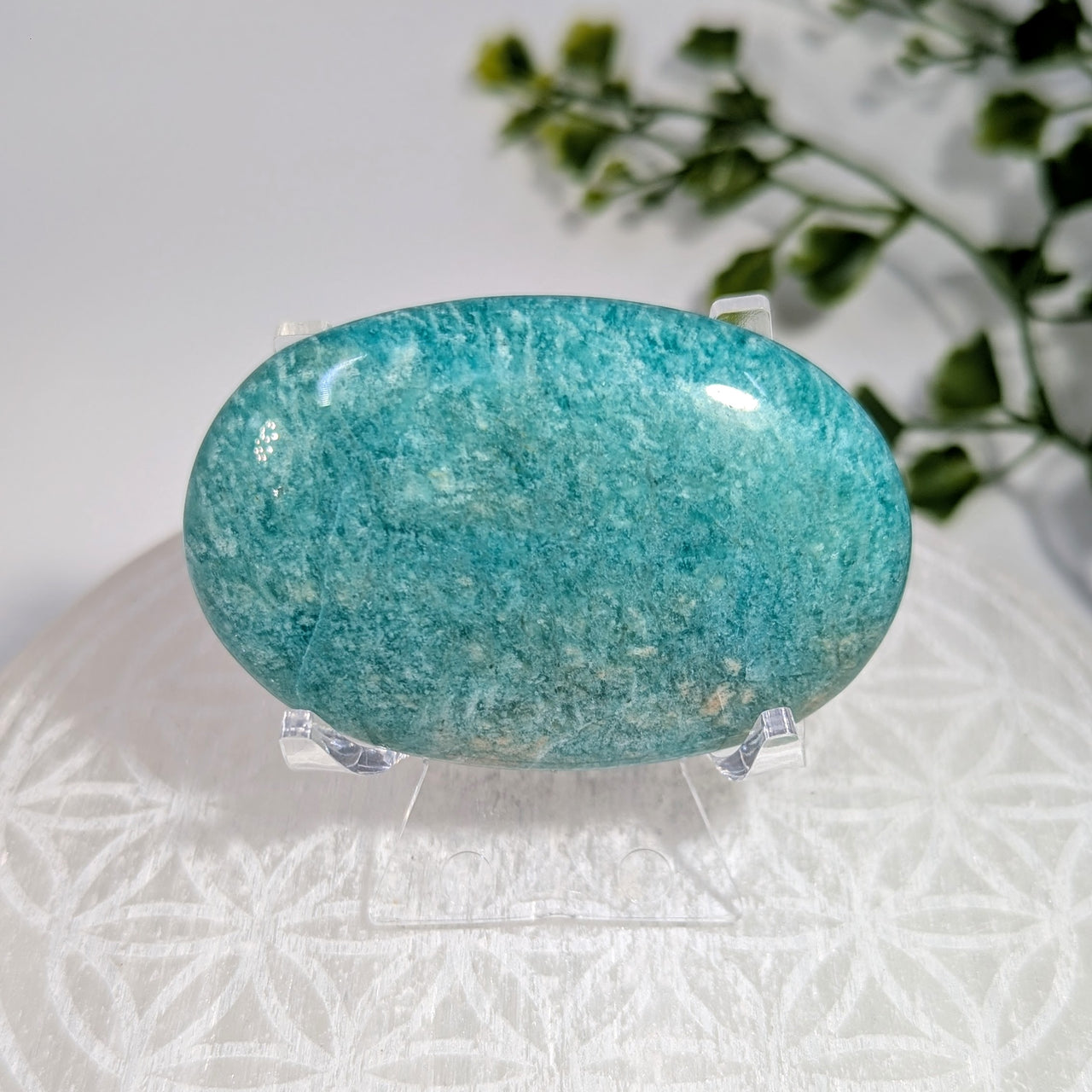 Amazonite 2.25" Palm #BC1709
