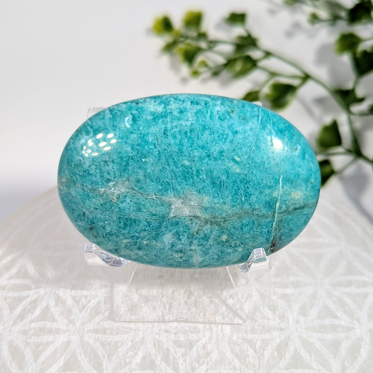 Amazonite 2.5" Palm #BC1710