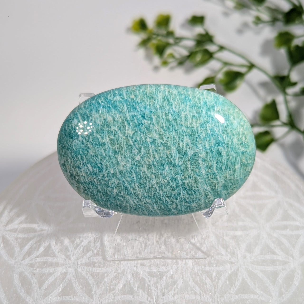 Amazonite 2.25" Palm #BC1711