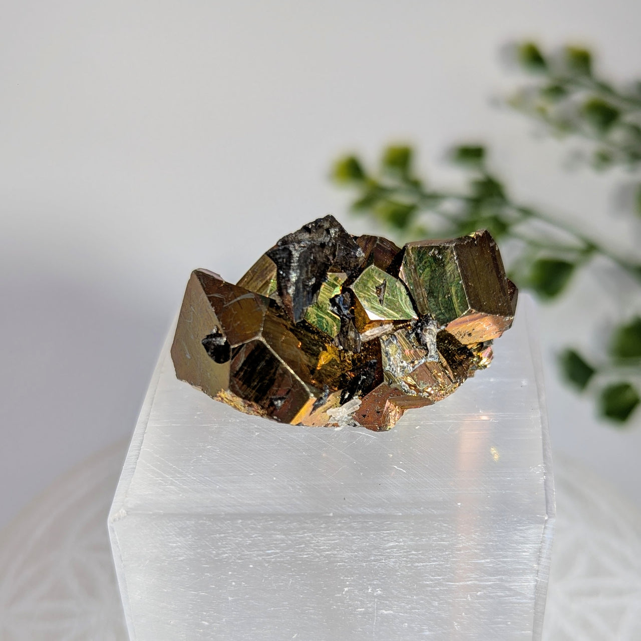Rainbow Pyrite 1.75" Cluster #BC1716