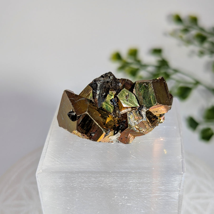 Rainbow Pyrite 1.75" Cluster #BC1716