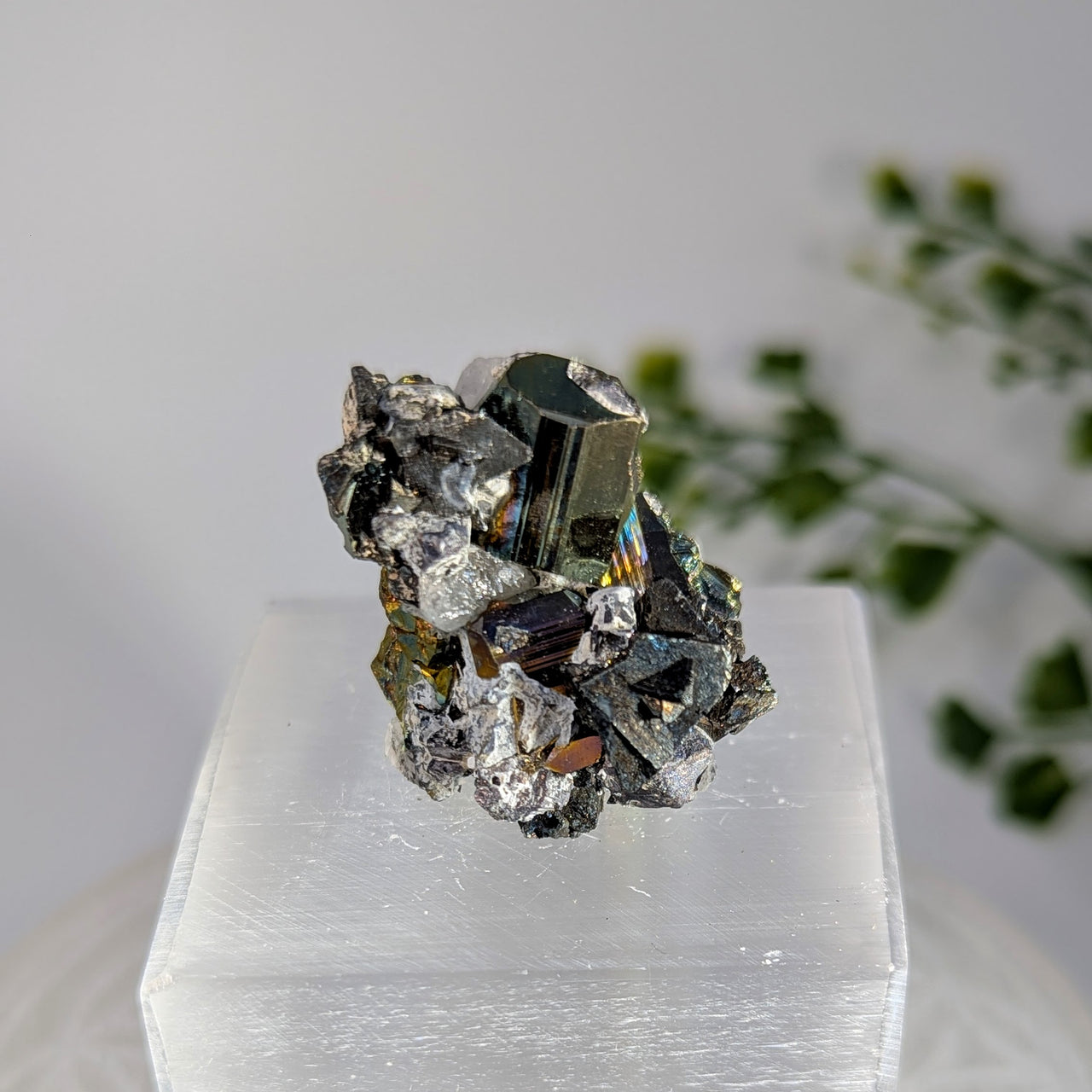 Rainbow Pyrite 1.25" Cluster #BC1717