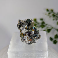 Rainbow Pyrite 1.25