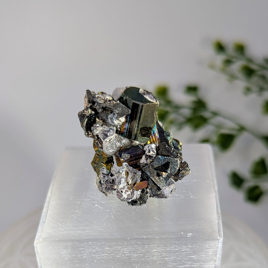 Rainbow Pyrite 1.25" Cluster #BC1717