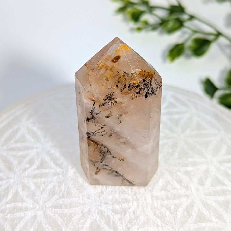 Dendrite Quartz 2.25" Tower #BC1718