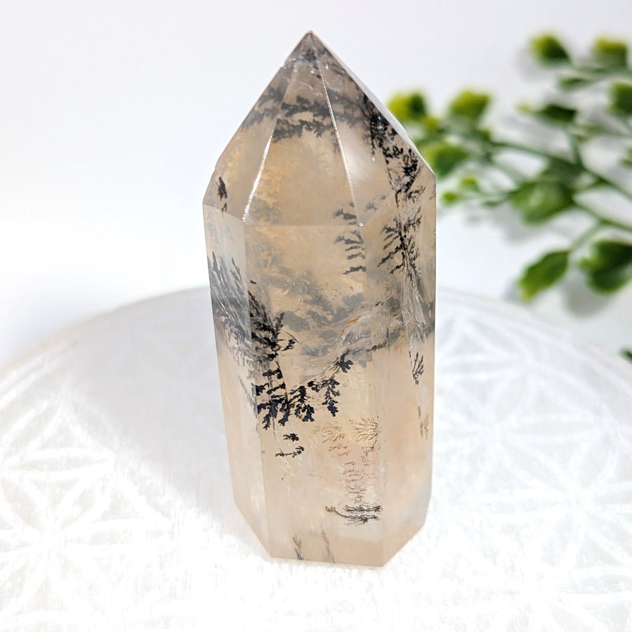 Dendrite Quartz 2.75" Tower #BC1719